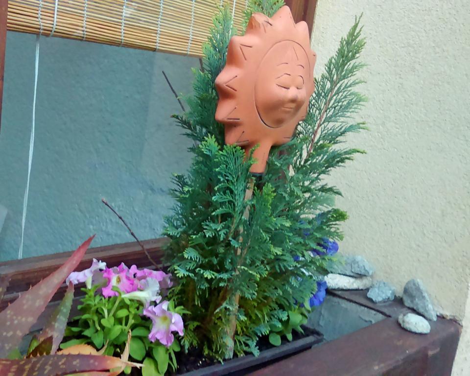 Belvarosi Studio Apartman Győr Zewnętrze zdjęcie